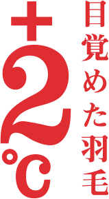 目覚めた羽毛「+2℃」