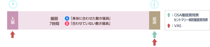 測定項目
