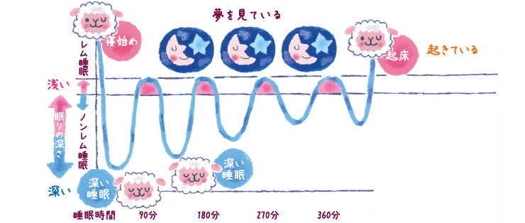 からだのリズムと生活のリズム