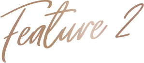 Feature2