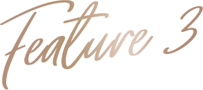 Feature3