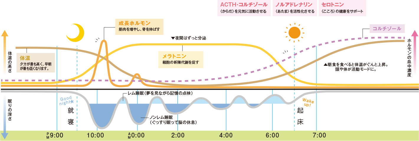 子供をはぐくむ、スリープリズム概要図