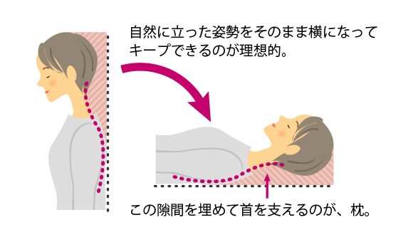 枕はなぜ必要なの？