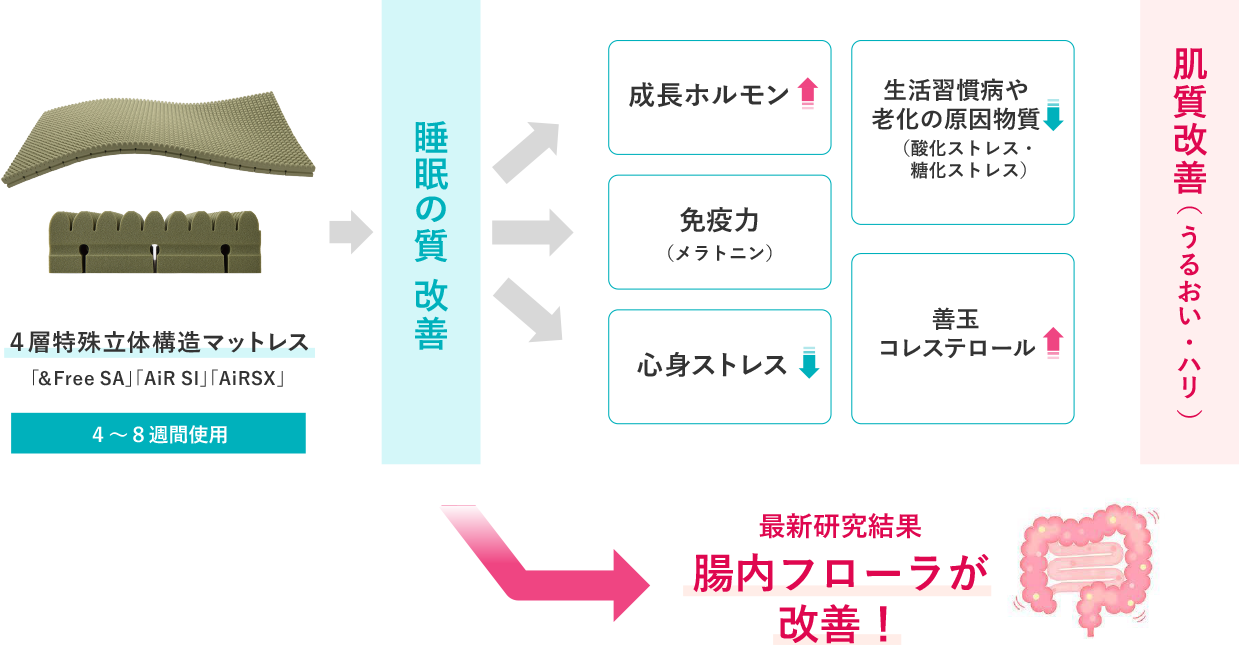 西川 日本睡眠科学研究所レポート No.1