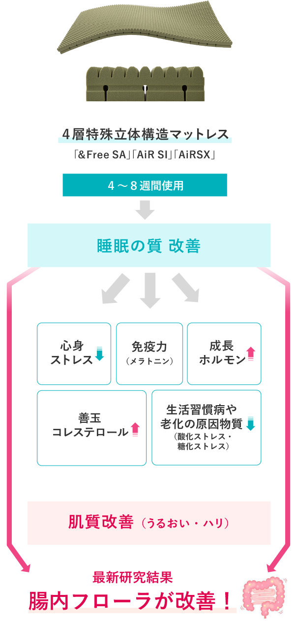 西川 日本睡眠科学研究所レポート No.1