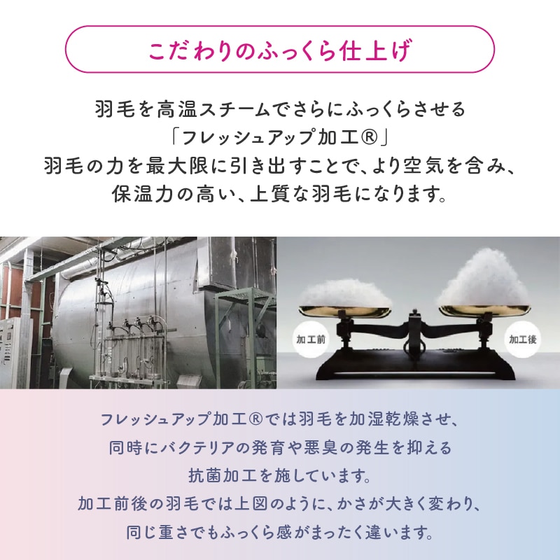 003 torofuwa 洗える羽毛掛けふとん［ダック］（通年使い羽毛ふとん