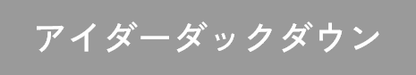 アイダーダックダウン