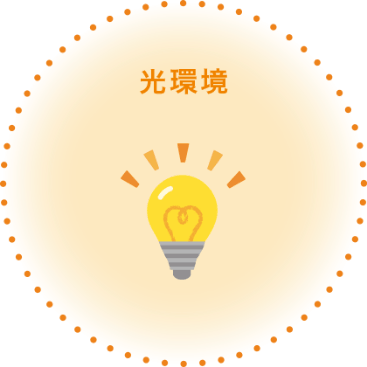 光環境