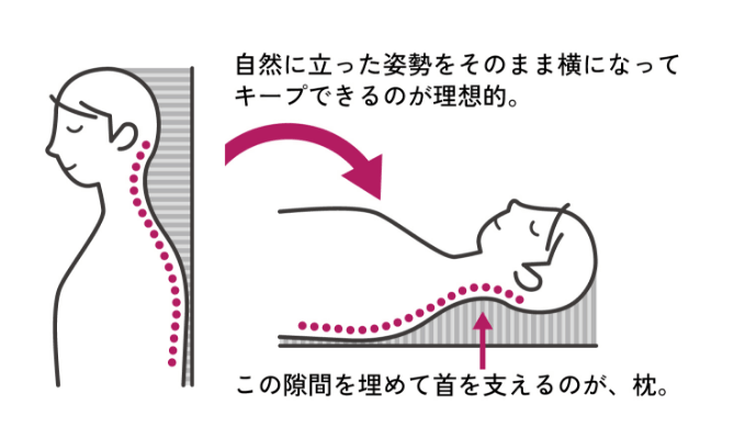 自然に立った姿勢をそのまま横になってキープできるのが理想的。この隙間を埋めて首を支えるのが、枕。