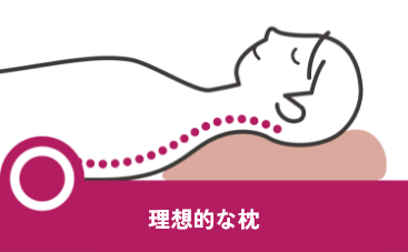 理想的な枕:自然に立った姿勢をそのまま横になってキープできる高さ