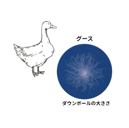 グースのダウンボールの大きさ