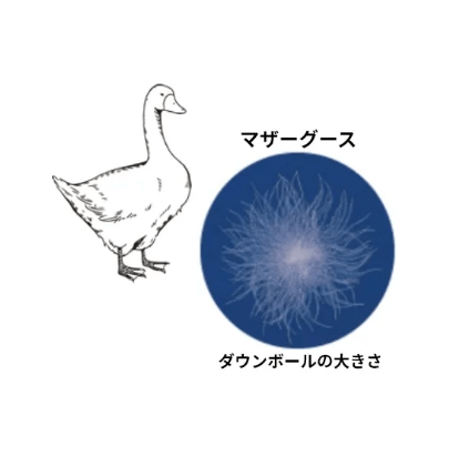 マザーグースのダウンボールの大きさ