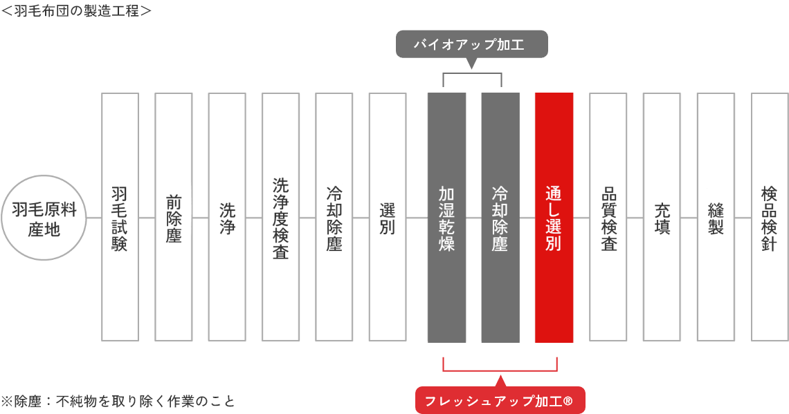 羽毛布団の製造工程。加湿乾燥・冷却除塵がバイオアップ加工、加湿乾燥・冷却除塵・通し選別がフレッシュアップ加工にあたります。※除塵：不純物を取り除く作業のこと