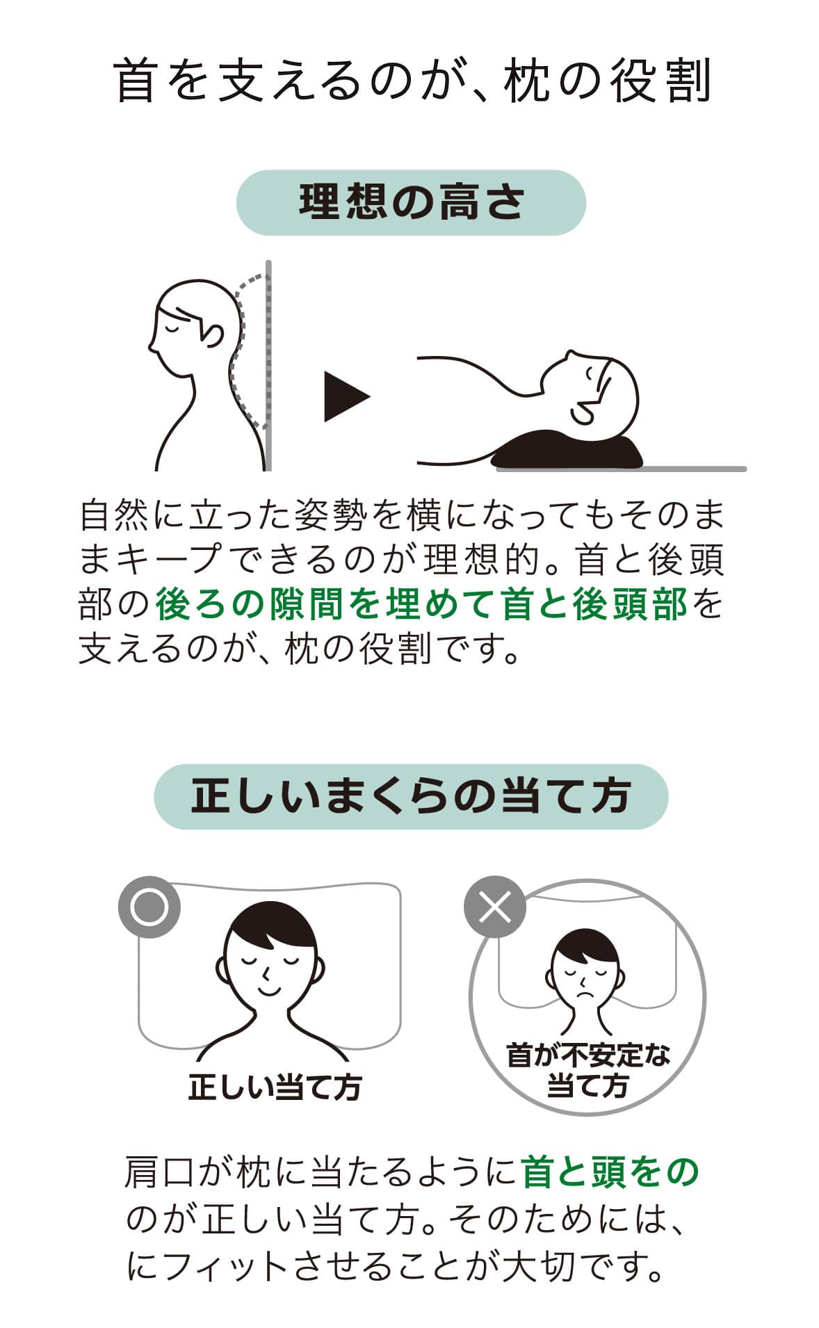 構造図
