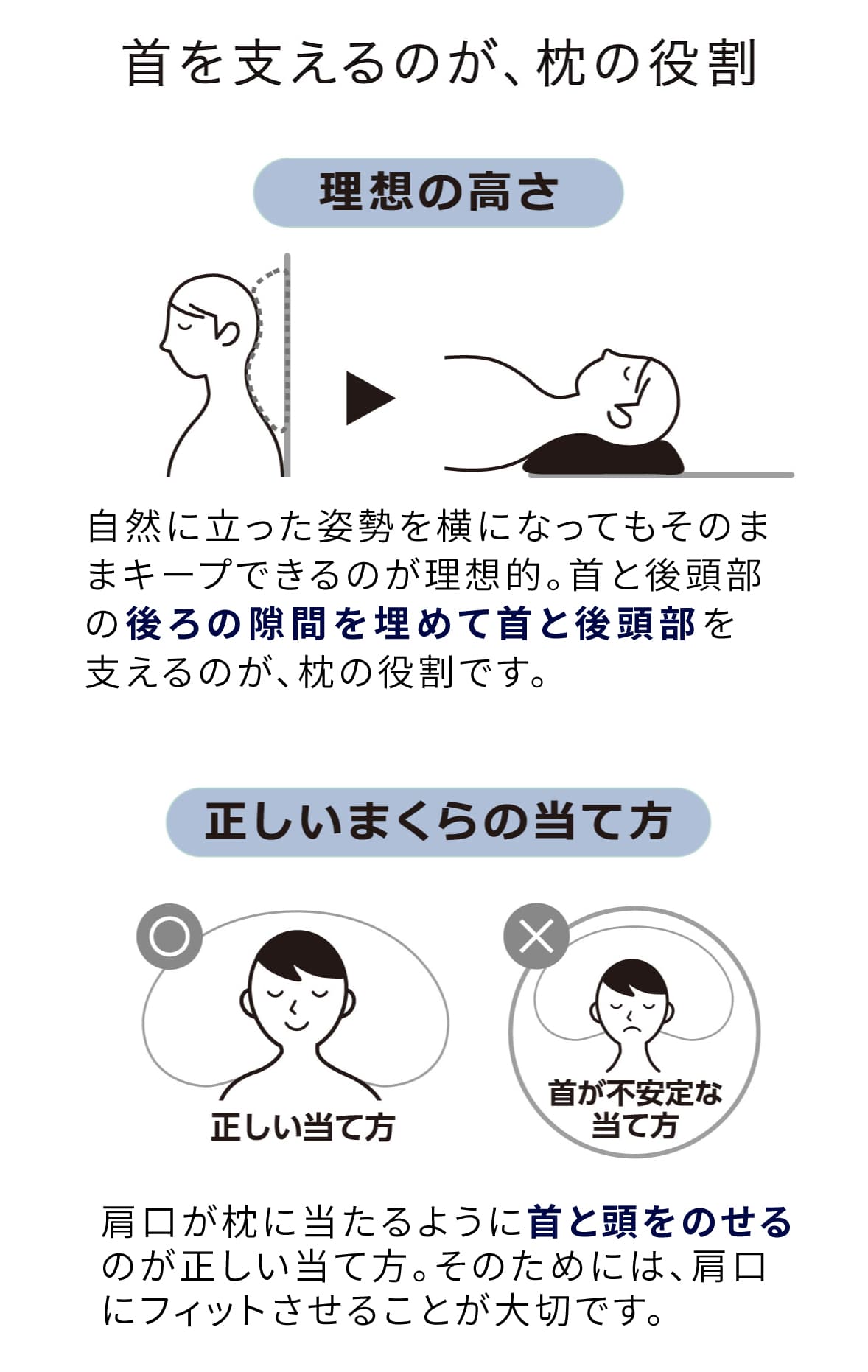 構造図