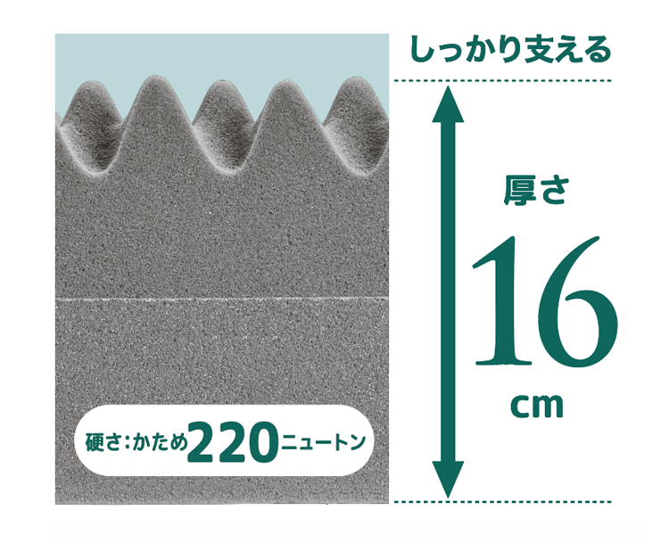 しっかり支える厚さ16センチメートル