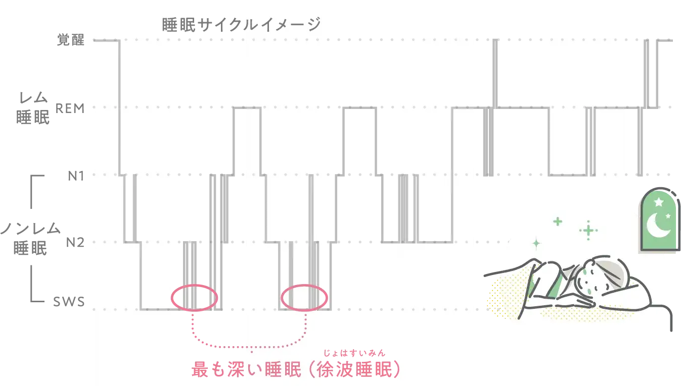 睡眠サイクルイメージ（脳波測定データ）
