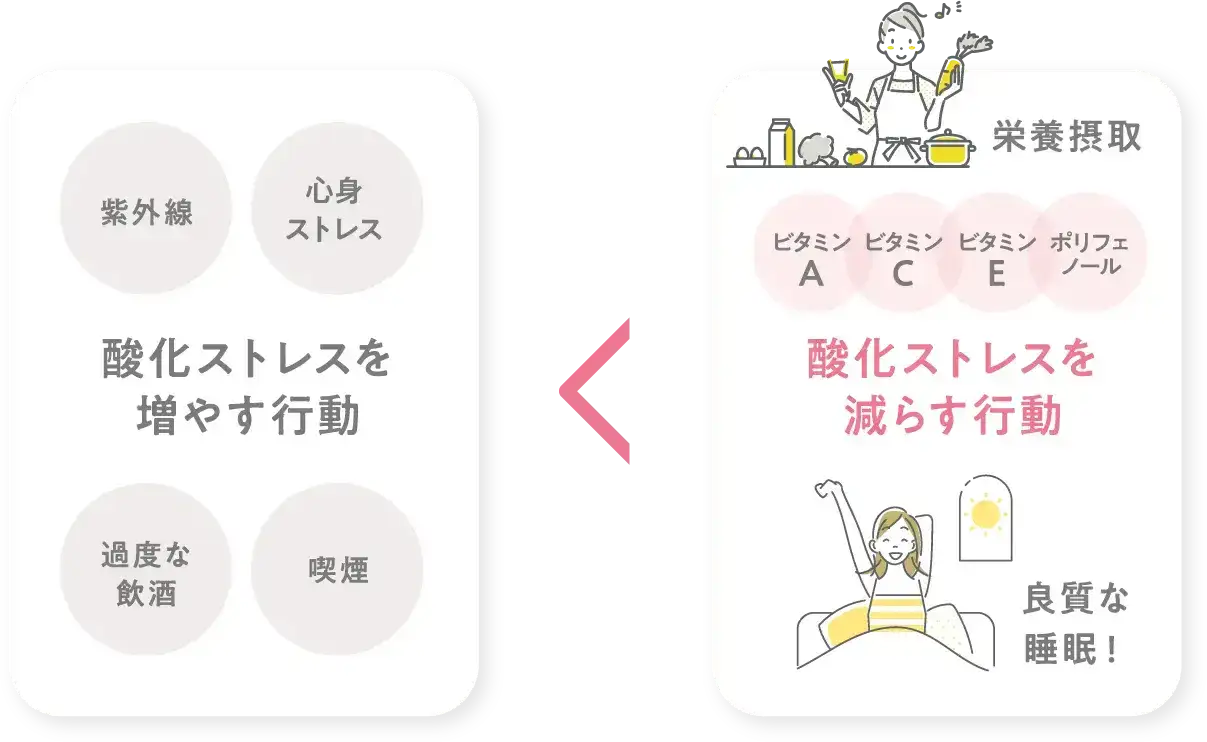 酸化ストレスを増やす行動と減らす行動の比較