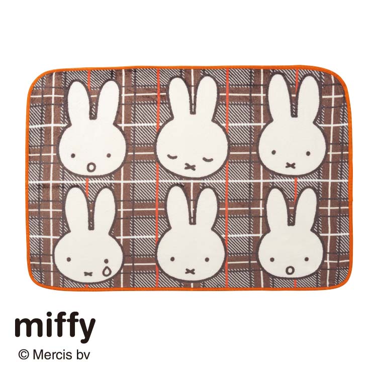 DB2651 ひざ掛け 100×70cm：タオルケット・毛布