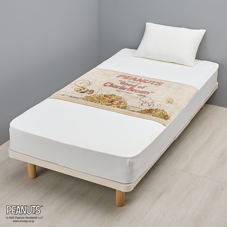 PN5654BD ひざ掛け 100×70cm