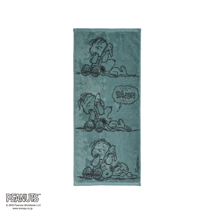 PN5604TW フェイスタオル (フェイスタオル)34×80cm