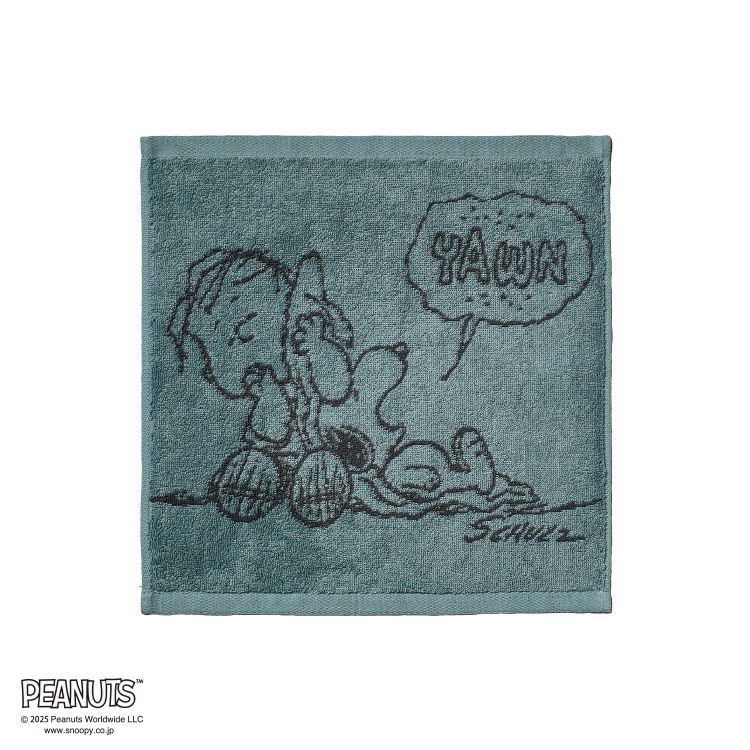 PN5604TW ウォッシュタオル (ウォッシュタオル)34×35cm