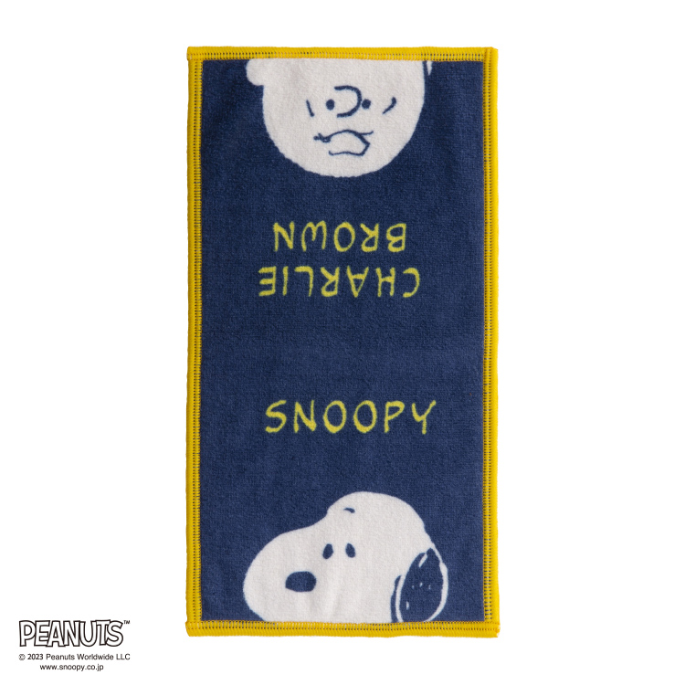 PN2639TW 眼鏡クリーナータオル 12.5×25cm：タオル