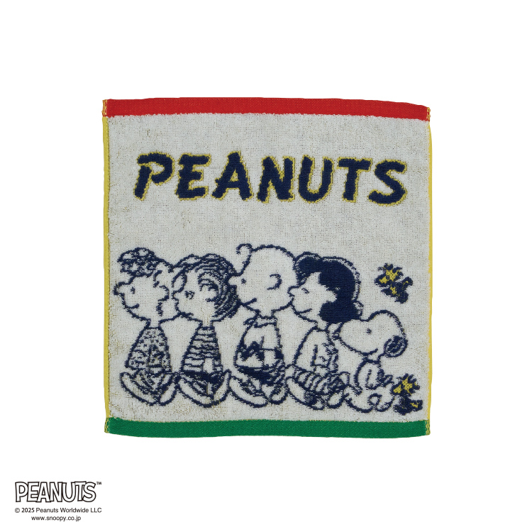 PN5611TW ミニテリー (ミニテリー)25×25cm