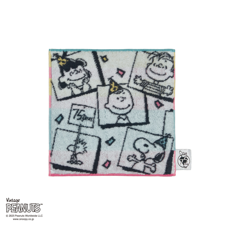 PN5654TW ミニタオル (ミニタオル)25×25cm