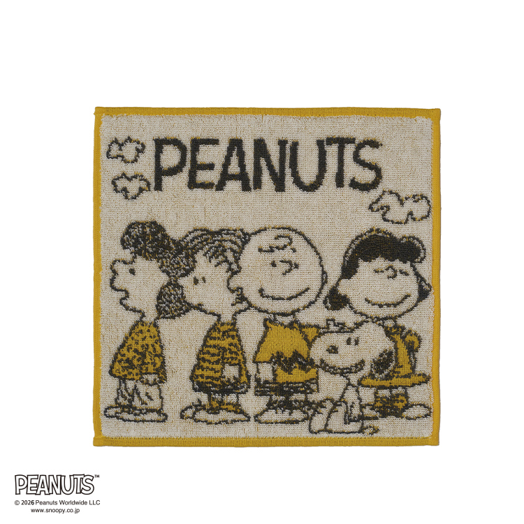 PN6614TW ミニタオル (ミニタオル)25×25cm