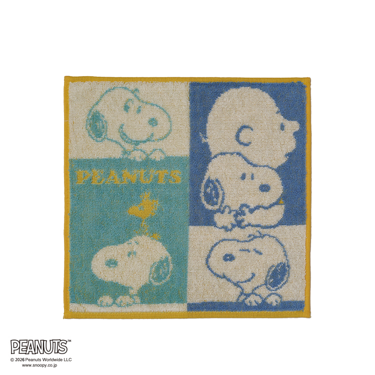 PN6615TW ミニタオル (ミニタオル)25×25cm