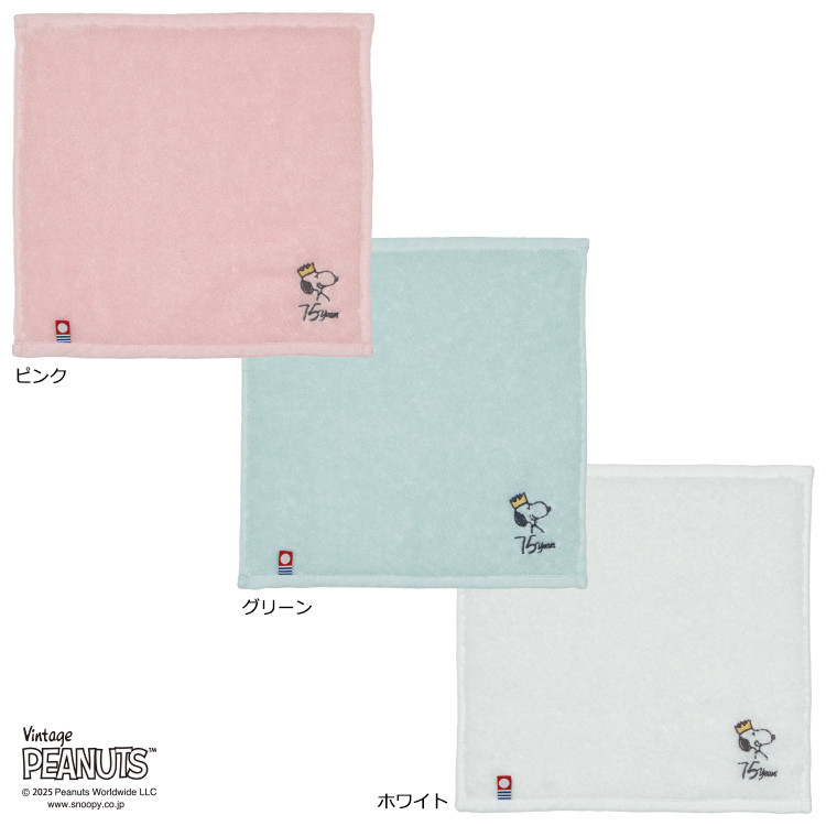 PN5651TW ミニタオル (ミニタオル)25×25cm