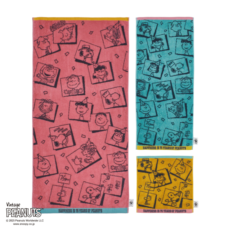 PN5654TW ウォッシュタオル (ウォッシュタオル)34×35cm