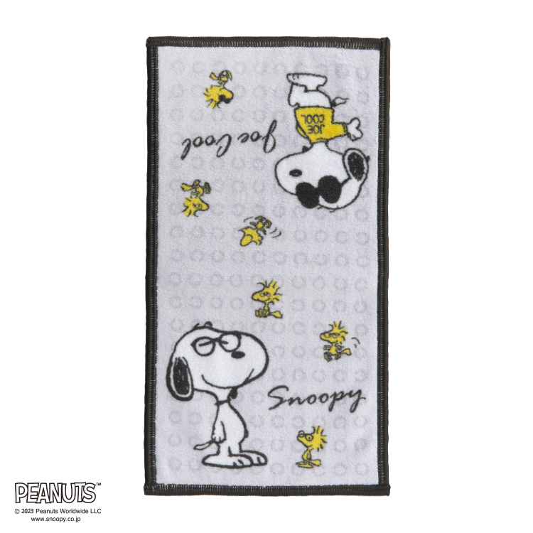 PN2637TW 眼鏡クリーナータオル 12.5×25cm：タオル