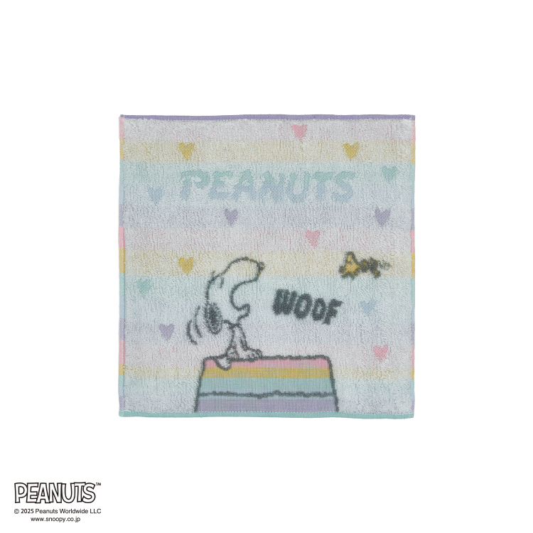 PN5653TW ミニタオル (ミニタオル)25×25cm