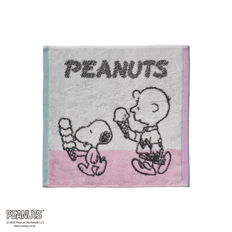 PN5605TW ウォッシュタオル (ウォッシュタオル)34×35cm