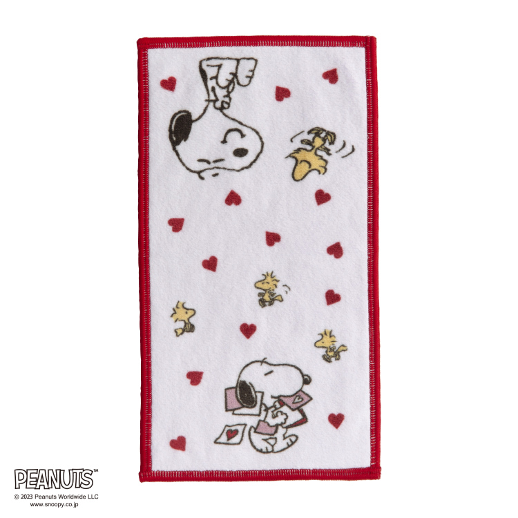 PN2636TW 眼鏡クリーナータオル 12.5×25cm：タオル