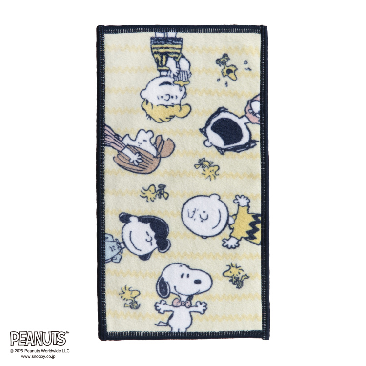 PN2638TW 眼鏡クリーナータオル 12.5×25cm：タオル