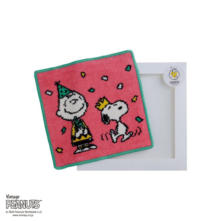 PN5665TW シェニールミニタオル (シェニールミニタオル)23×23cm