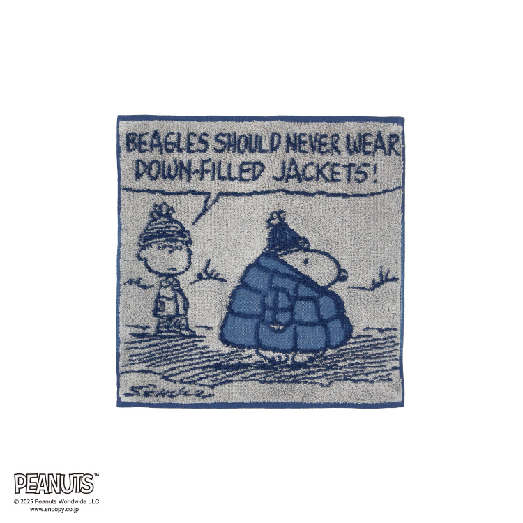 PN5662TW ミニタオル (ミニタオル)25×25cm