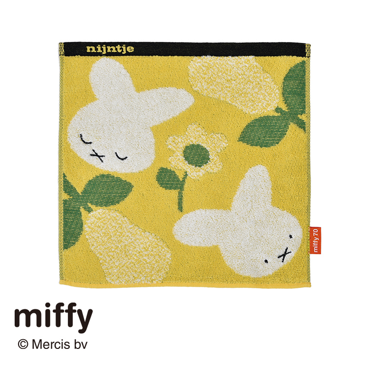 DB5605 ミニタオル (ミニテリー)25×25cm