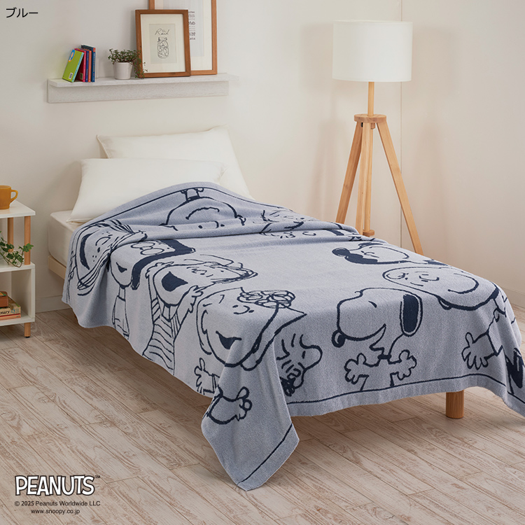 PN5601BD タオルケット (シングル)140×190cm