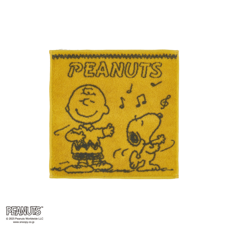 PN5652TW ミニタオル (ミニタオル)25×25cm