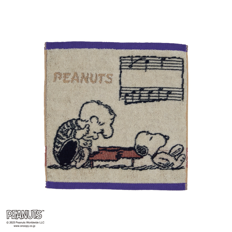 PN5612TW ミニテリー (ミニテリー)25×25cm