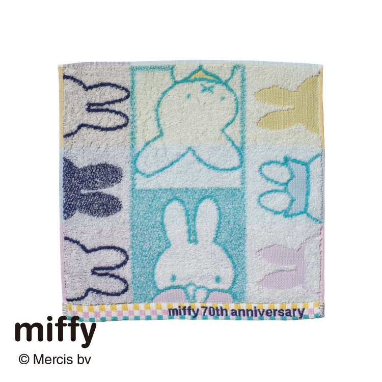 DB5602 ミニタオル (ミニテリー)25×25cm