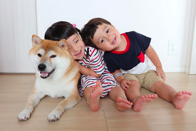 4歳の妹(人間)と2歳の弟(人間)のお兄ちゃん