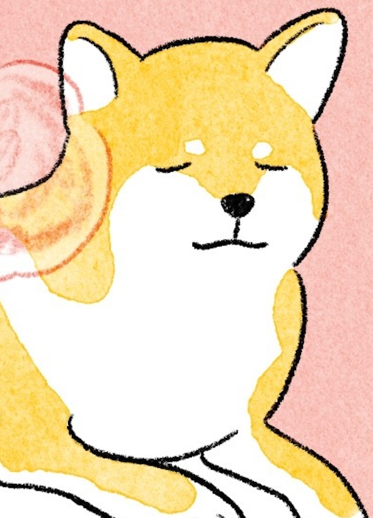 【獣医師監修】犬と猫のマッサージ方法を解説。ホットタオルでより効果的に！