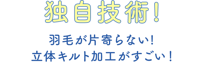 独自技術!羽毛が片寄らない! 立体キルト加工がすごい！